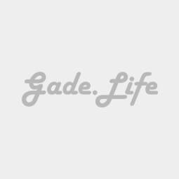 Logo Gade.Life