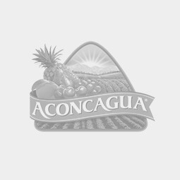 Logo Conservas Aconcagua