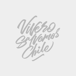 Logo Vivero Salvemos Chile